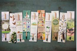 Sprout™ Pencils in customised packaging