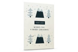 Seed Paper Christmas Cards 'Snow'