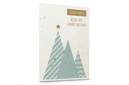 Seed Paper Christmas Cards 'Star'