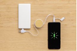6-in-1 Bamboo Charger