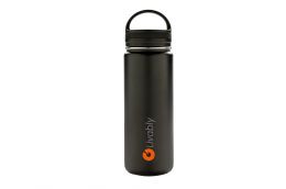 Insulated bottle with handle