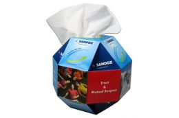 Printed globe tissue box