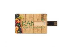 Sustainable credit card USB stick