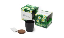 Growing Kit ceramic (7 cm)