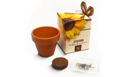 Flower showbox