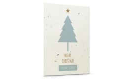 Seed Paper Christmas Cards 'Classic'