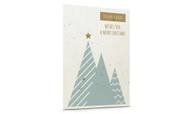 Seed Paper Christmas Cards 'Star'