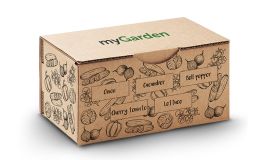 Salad growing kit