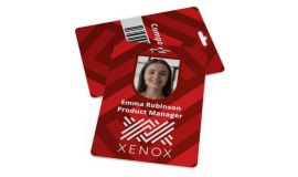 Corporate Passes