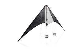Delta kite