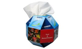 Printed globe tissue box