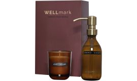 Wellmark Discovery Gift Set